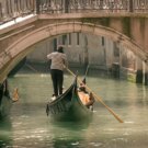 AndreLunaLeao Avatar