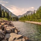 I9540BTpedror Avatar